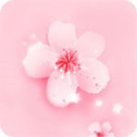 蜜柚直播app软件下载