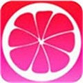 懂片帝app在线下载