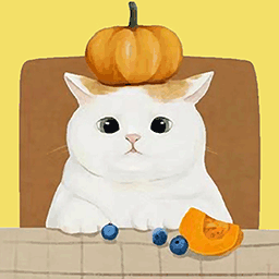 整理大师收纳物语免广告下载